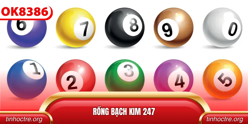 Rồng bạch kim 247